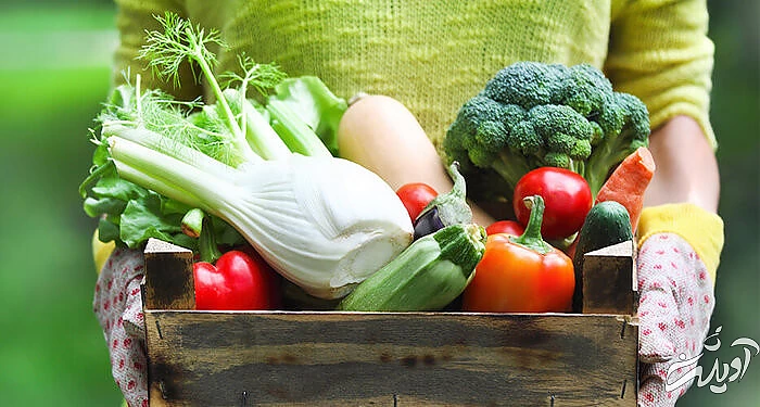 پنج ترفند فوقالعاده که حافظهتان را تقویت میکند میوه و سبزیجات بخورید